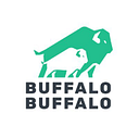 Buffalo Imaging logo