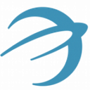 Dynamic Systems, Inc. logo