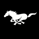 BLACK HORSE LOGISTICS LLC logo