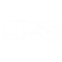 Channel Industrial Group Inc. logo