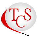 TWIN STAFFING logo