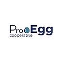 ProEgg Inc. logo