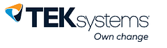 TEK Systems logo