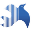 FORTUNE SOCIETY INC logo