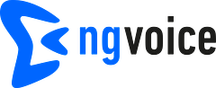 ng-voice logo
