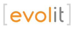 Evolit Consulting logo