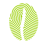 Attesa Coffee logo