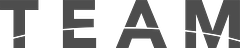 TEAM Risk Management Strategies logo