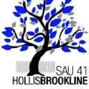 SAU41 School Districts logo
