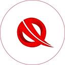 QBrainX India logo