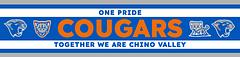 Chino Valley USD 51 logo