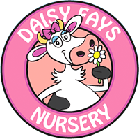 Daisy Fays logo