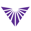 Vivid Impact logo