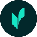 Veriff logo
