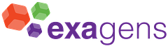 Exagens logo