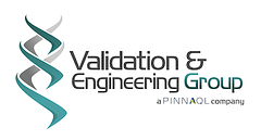 Validation & Engineering Group logo