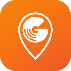GigFinesse logo