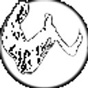 Wasabi Sushi and Bento logo