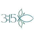 3:15 logo