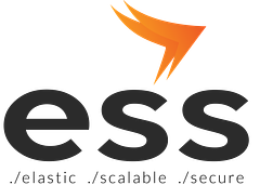 Enterprise Software Solutions logo