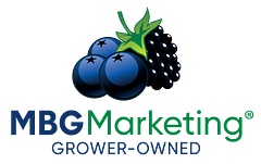 Michigan Blueberry Growers Association logo