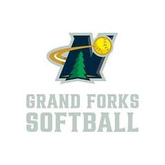Bismarck Larks logo