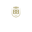 Baden Logistics logo