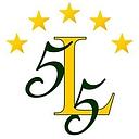 Laurens Co School District 55 logo