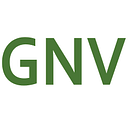 GNV Consulting Inc. logo