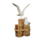 Scott Davis Chip logo