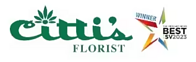 Cittis Company logo