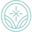 Illuminus logo