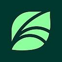 Spring Health logo