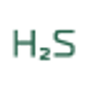 H2S logo