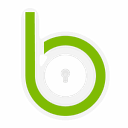 Blackpoint Cyber logo