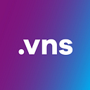 VNS logo
