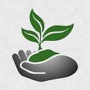 Conservation Corps Minnesota & Iowa logo