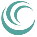 Danuvial Service Solutions Inc. logo