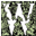 Winston Flowers logo