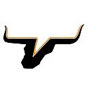 Viola School District logo