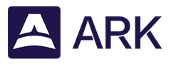 Raisely logo