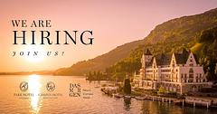 Hospitality Visions Lake Lucerne AG logo