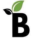 Bloom Partners Talent Solutions logo