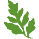Virginia Thurston Healing Garden Cancer Support Center  logo