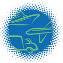 O'Neill Logistics GA LLC logo