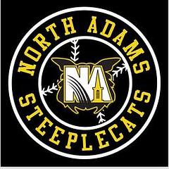 North Adams SteepleCats | New England Collegiate Baseball League logo