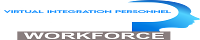 Virtual Integration Personnel logo