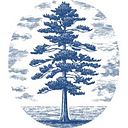 LOBLOLLY logo