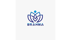 Brahma Consulting Group logo