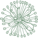 Meadowsweet logo